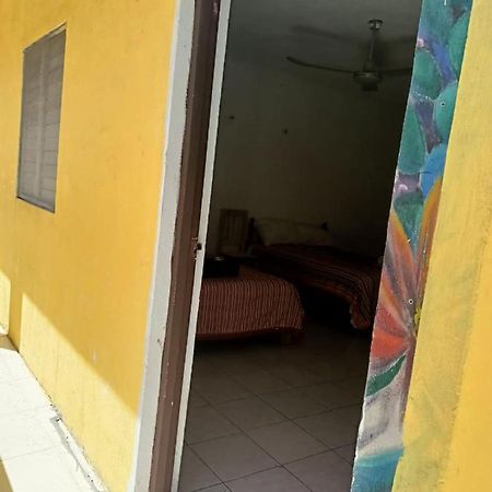 Tucan Playa del Carmen Zewnętrze zdjęcie