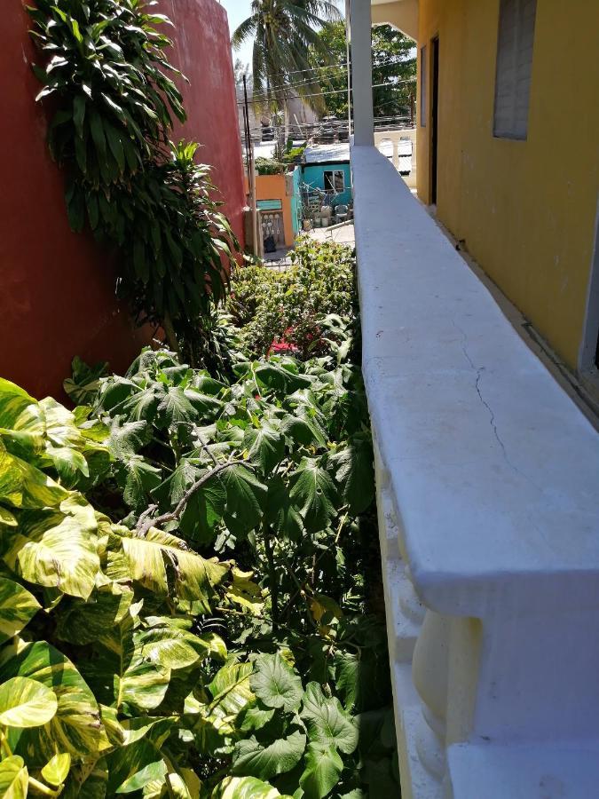 Tucan Playa del Carmen Zewnętrze zdjęcie