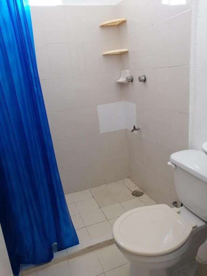 Tucan Playa del Carmen Zewnętrze zdjęcie