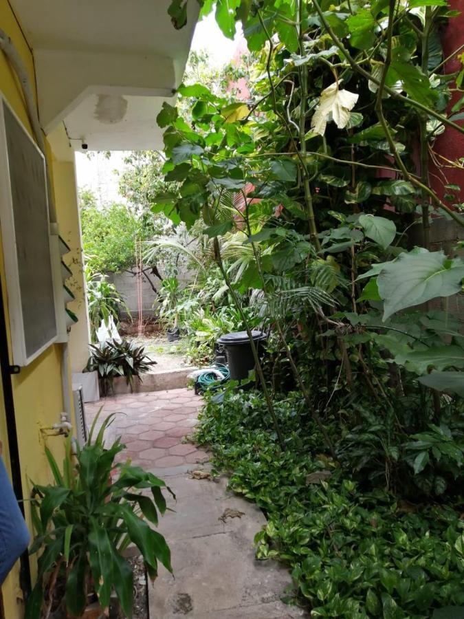 Tucan Playa del Carmen Zewnętrze zdjęcie