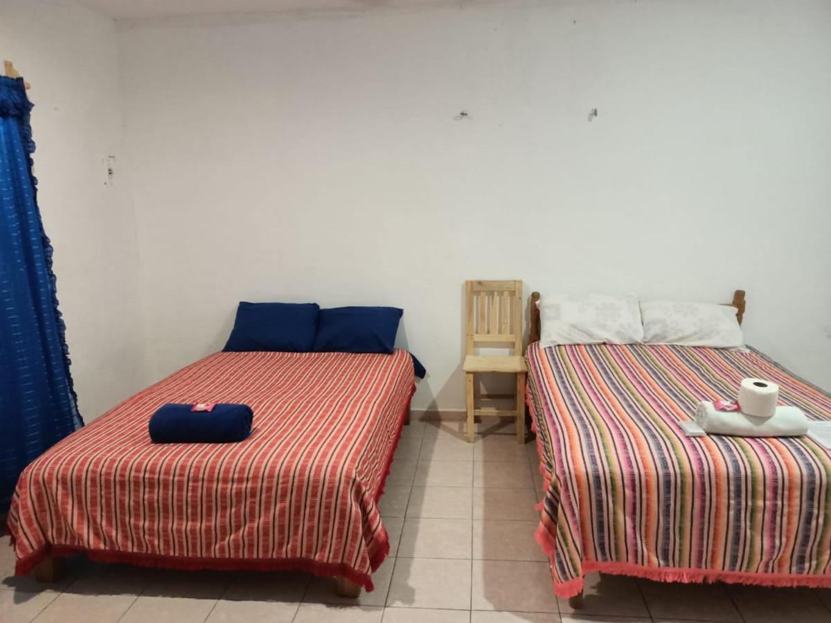 Tucan Playa del Carmen Zewnętrze zdjęcie