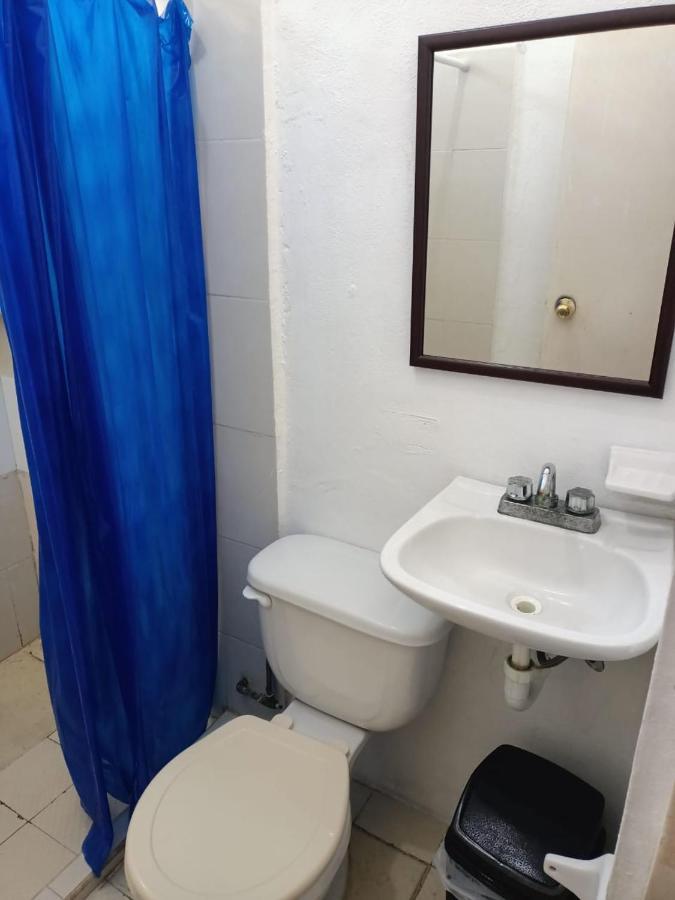 Tucan Playa del Carmen Zewnętrze zdjęcie
