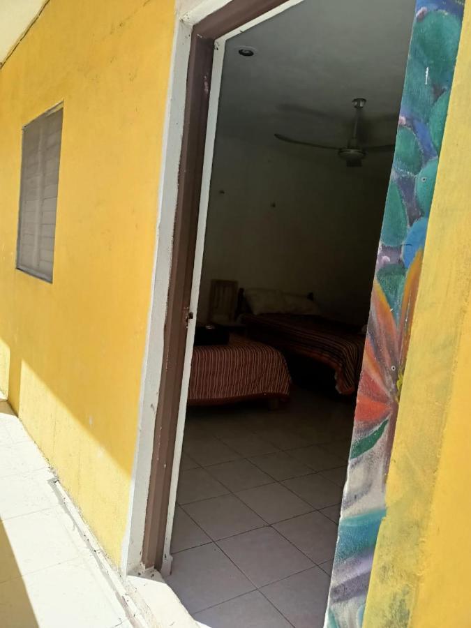 Tucan Playa del Carmen Zewnętrze zdjęcie