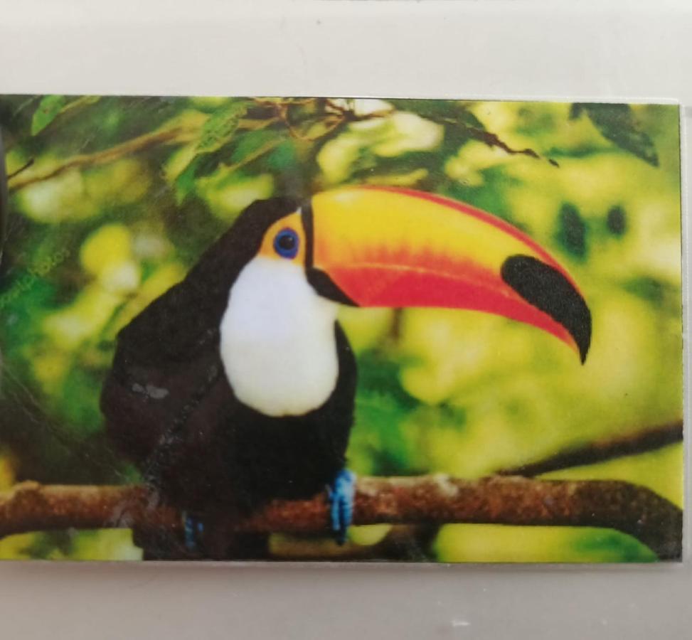 Tucan Playa del Carmen Zewnętrze zdjęcie