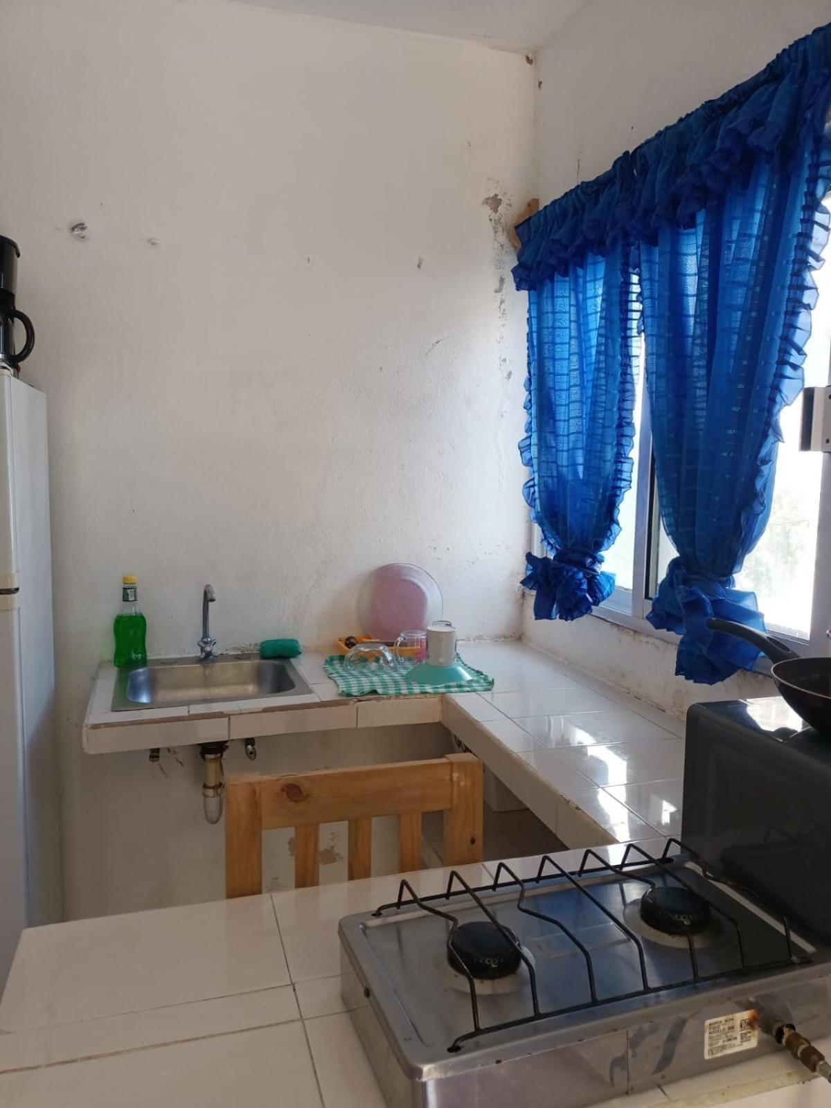 Tucan Playa del Carmen Zewnętrze zdjęcie